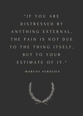 Stoic Marcus Aurelius Art