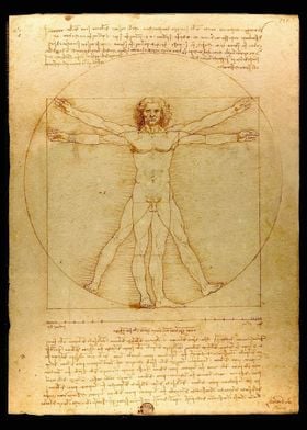 Vitruvian Man NO TEXT